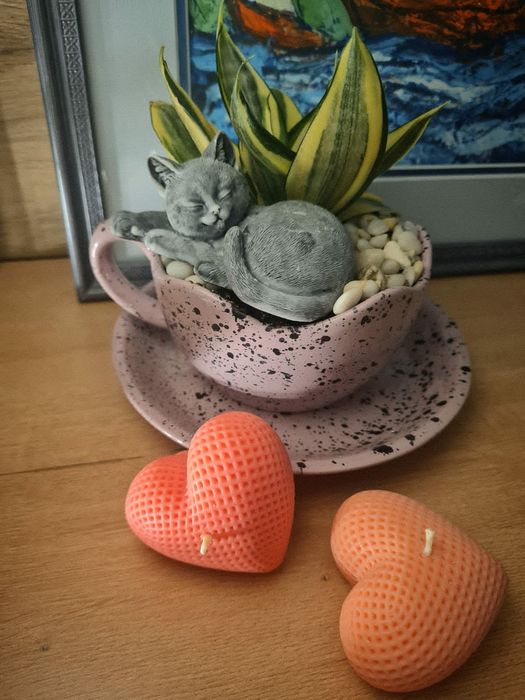 Свечи и флорариумы