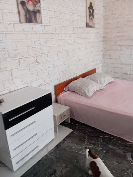 Дава се под наем Едностаен апартамент в Разград, Център - 45 кв.м за 204 € - Снимка #2