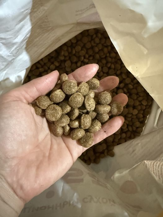 Корм для собак сухой