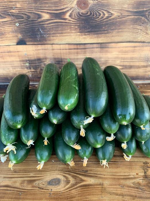 Продаётся бизнес. Теплица