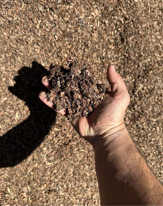 Боров мулч за градина