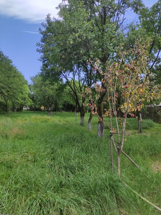 Casă de vânzare .