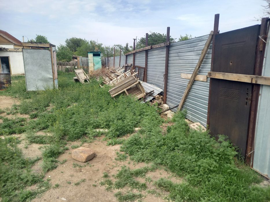 Заря восток Ежевичная 7