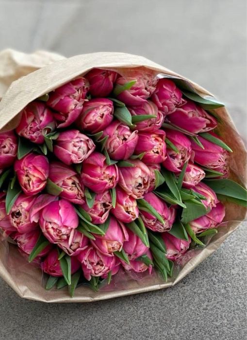 ТЮЛЬПАНЫ оптом и в розницу