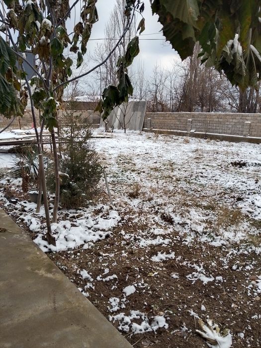 5 хона газ свет сув бор ошхона хаммом бор 10 сотихдан ошик ховли