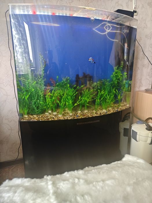 Продам аквариум 250 л.