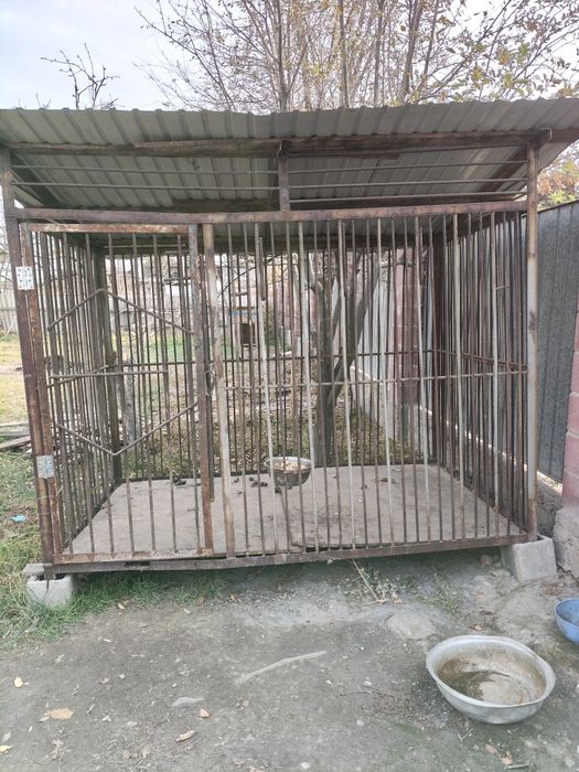 Вальтер для сабак