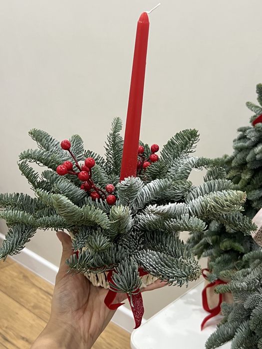 Нобилис банчами и готовые композиции