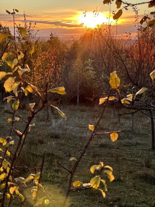 Horezu 1200 metri sat Râmești strada Măgurii