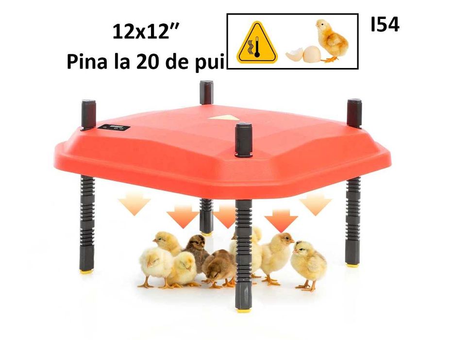 Încălzitor brooder pui cu LED, control temperatură 30 pui 16x16 inch
