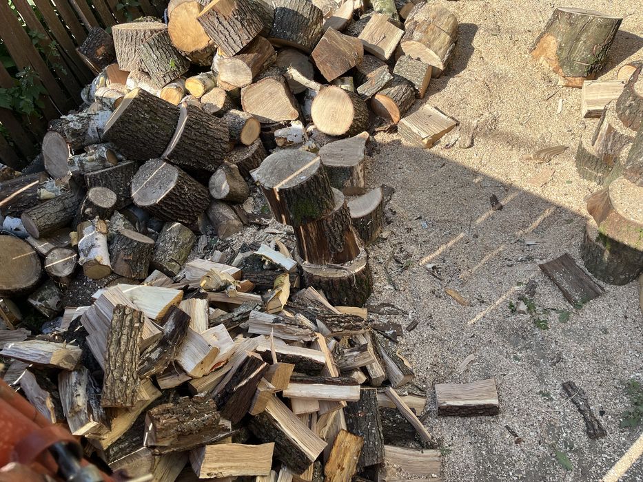 Intreținere spați verzi si tăiere pomi in spați greu de desfășurare