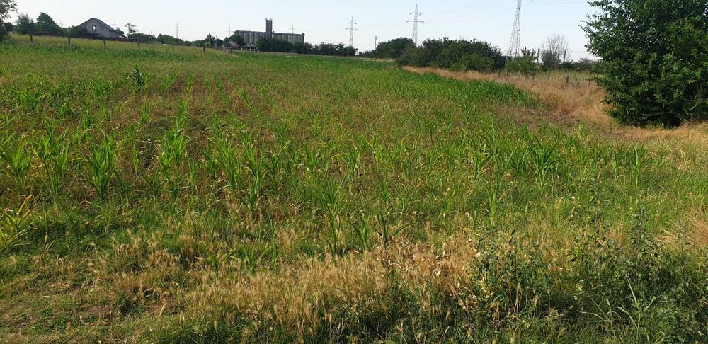 Vind teren intravilan 5000 mp Fetești str. Sperantei nr 15