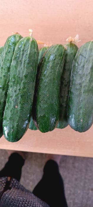 Продукты питания