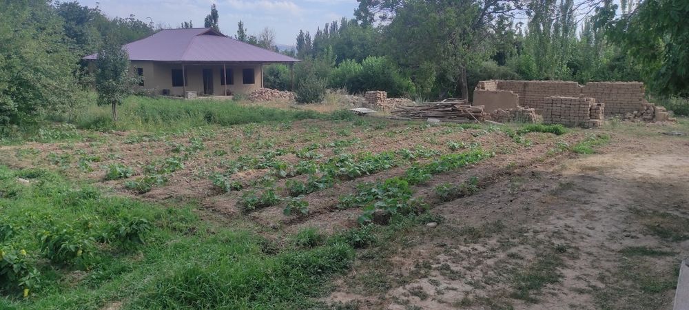 Oqtosh dacha uchun joy Акташ - место для дачи