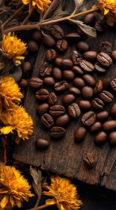 Продам обжареные кофейные зерна для бытового использования