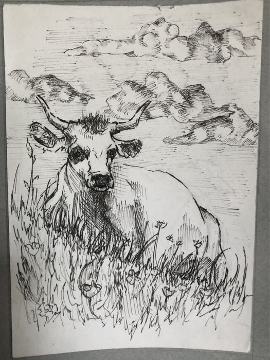 Рисую картины, не дорого