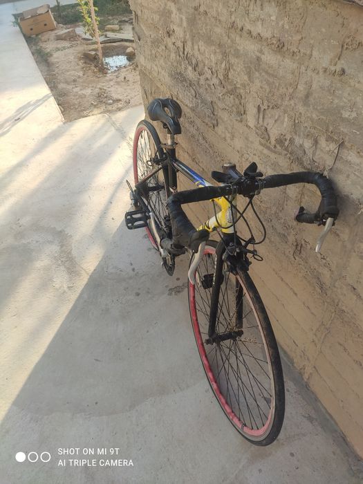 Продаю шоссейник