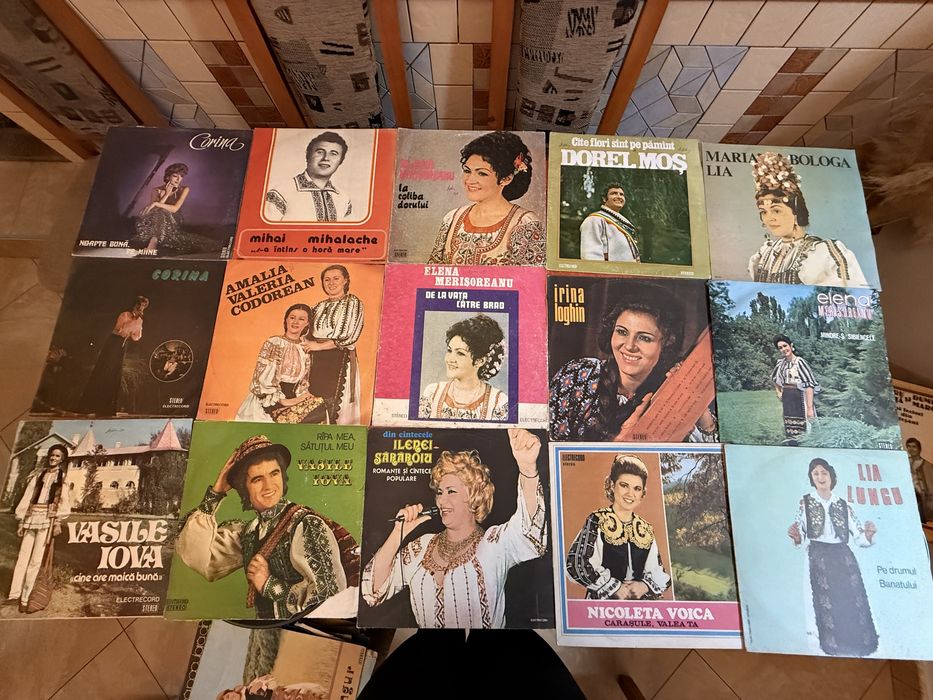 Discuri de vinil