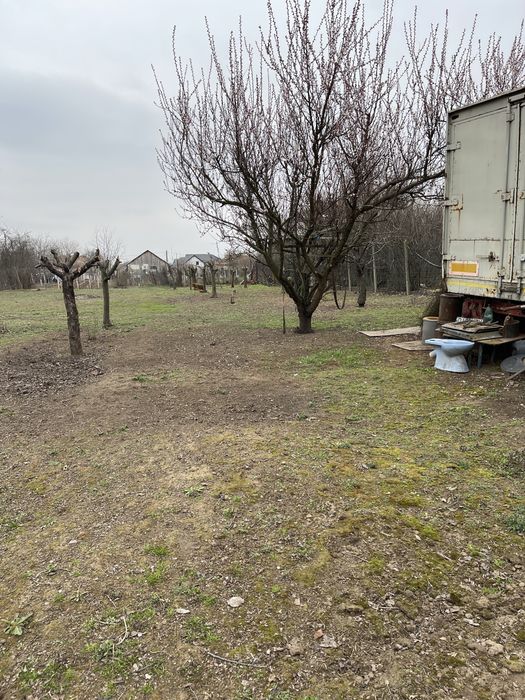 Vind teren 1800 mp Cosoveni