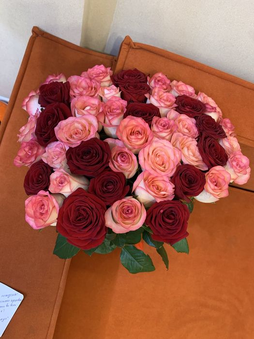 Роза свежий 51 25 11