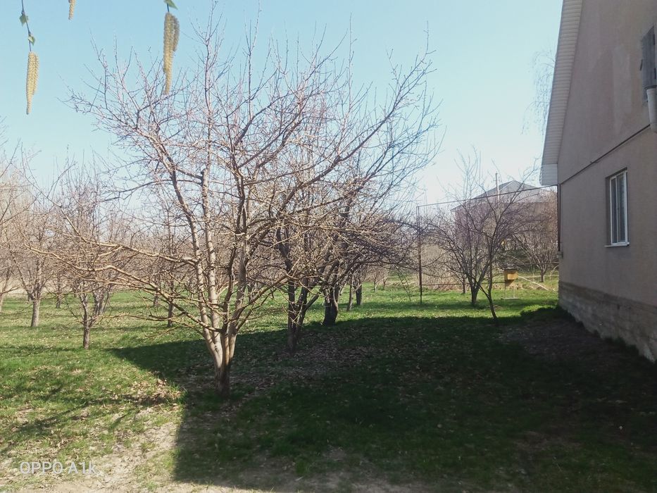 Продам дом кирпичный