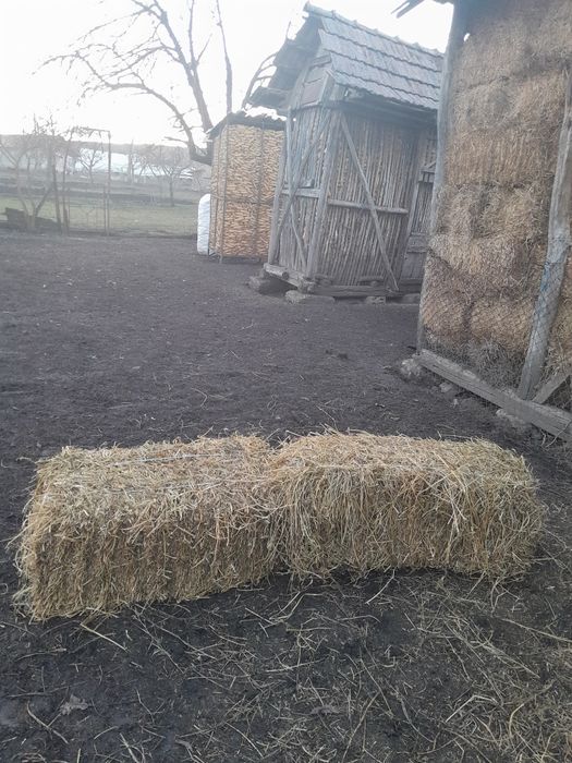 Baloț de lucernă și de paie