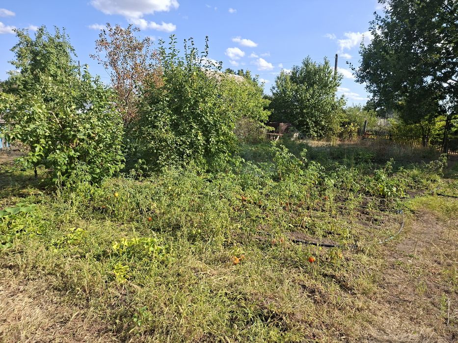Срочно продам  дачу С/о Автомобилист