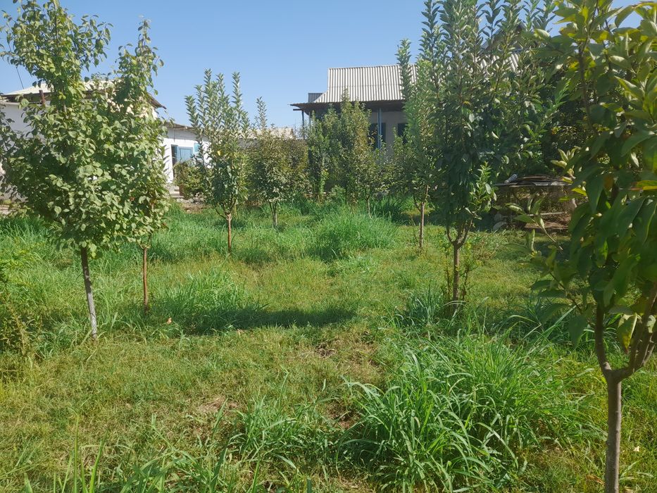 Hovli sotiladi.  Hamma  sharoiti  bor.