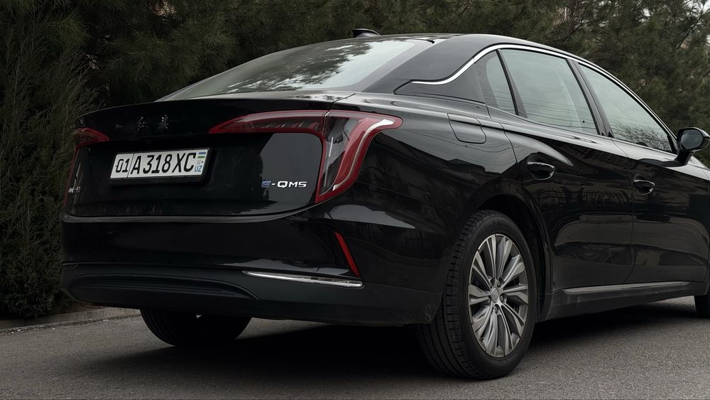 Hongqi E-QM5 16000$