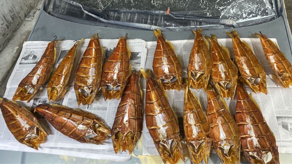 Рыба в Атырау: свежая, сушеная и копченая (Судак, Чехня, Рыбец)