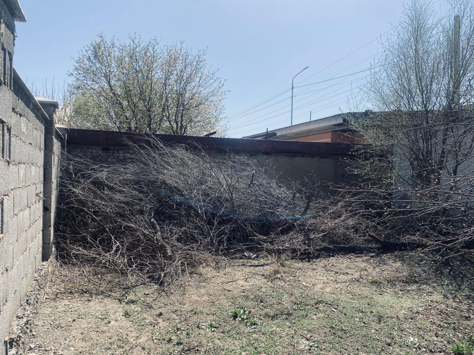 Тегін отын алып кетем деген адамға