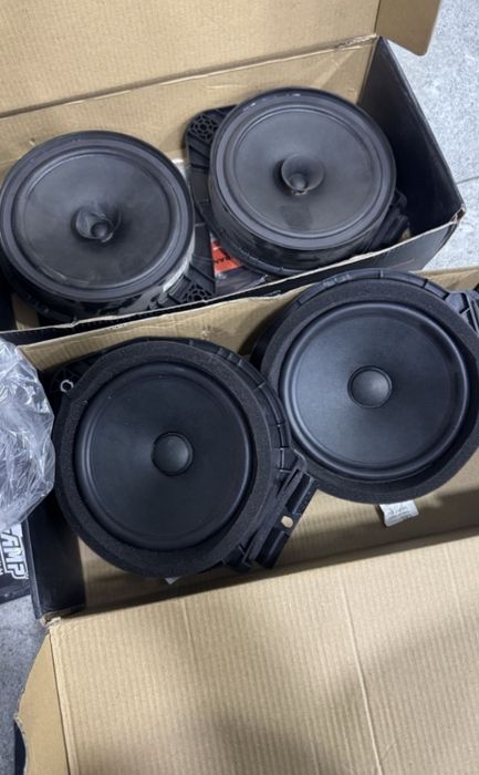 Kobalt radnoy kalonka