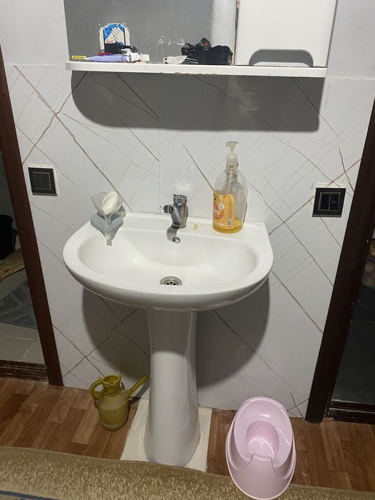 Раковина тюлпан сатылады