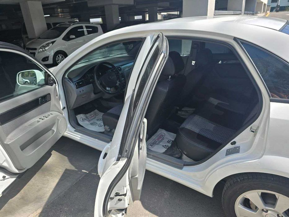 Жентра, своя, 2019, не крашенная