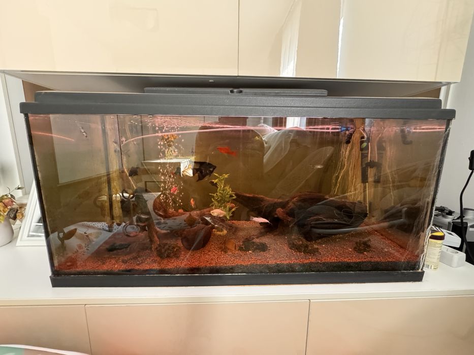 Acvariu 180L complet echipat