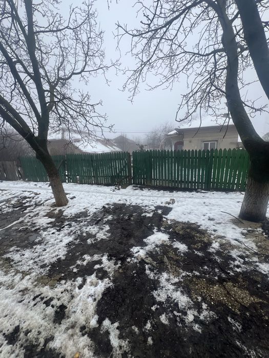 Inchiriez casa la tara la 40km