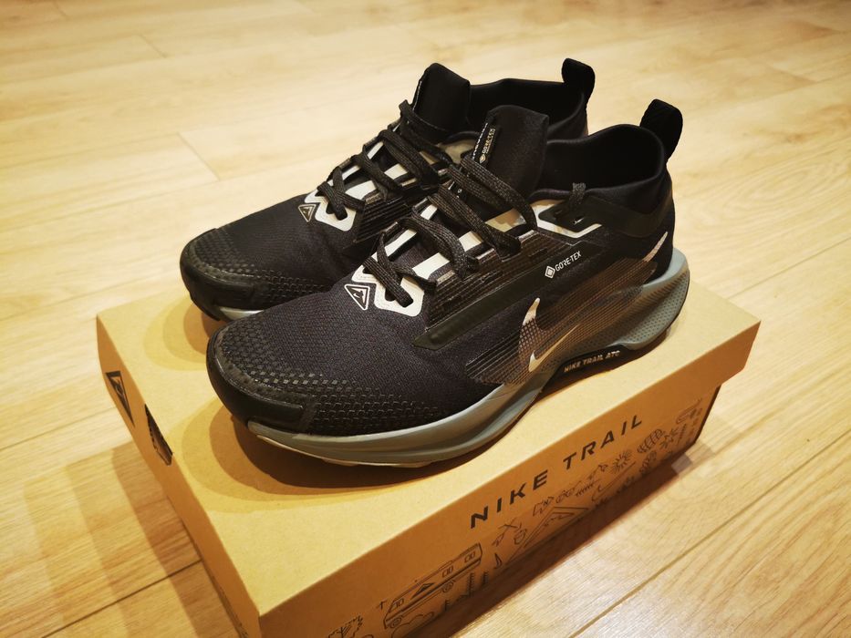 Nike Pegasus Trail 5 GTX