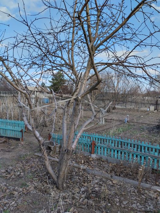 Продам дачу сад "Металлур"