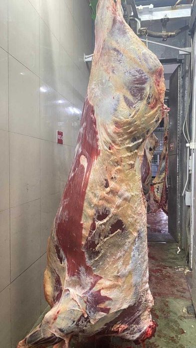 Мясо говядина тушами