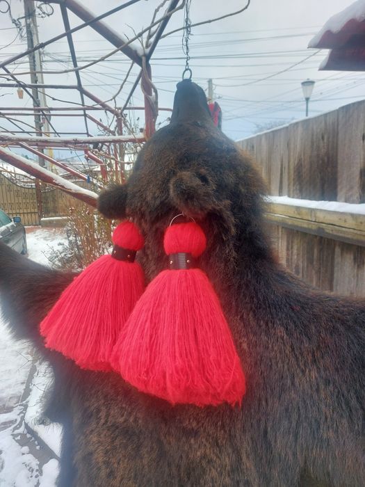 Piele de urs...blana de urs