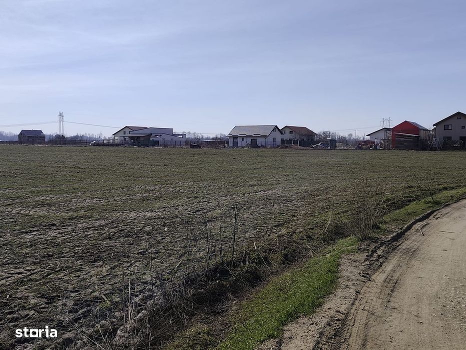 FARA COMISIOANE in Sabareni teren in suprafata de 23200mp gaze curent