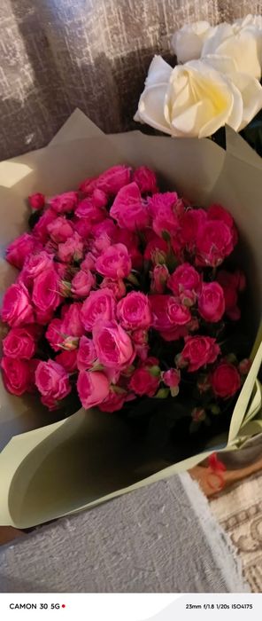 Роза красный за 10к