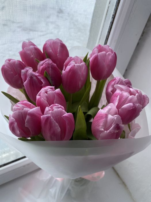 Продается цветы, букет тюлпан