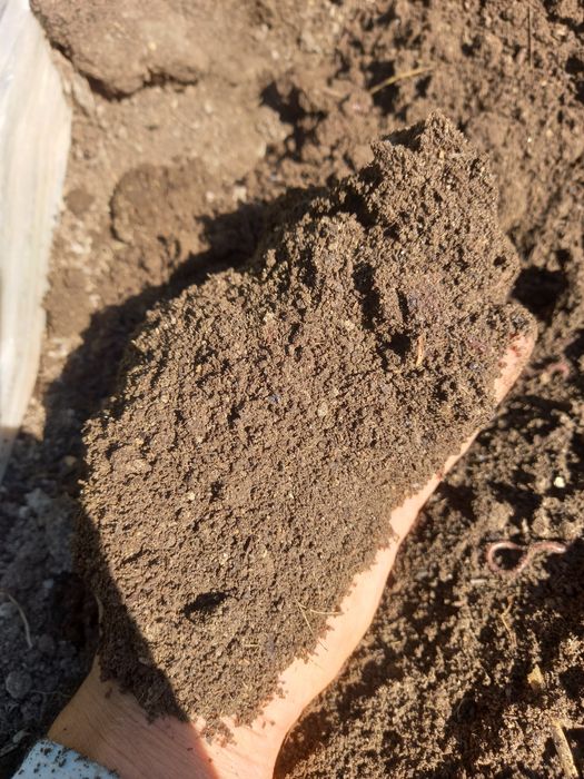 Biogomus  hali elakdan òtmagan tayyor mahsulot oliy nav