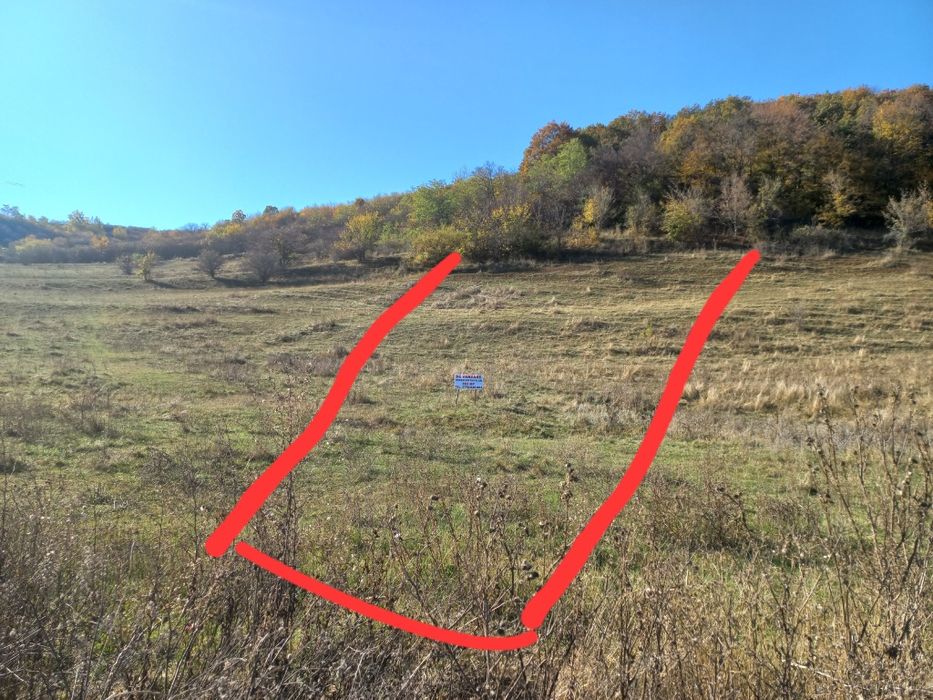 Teren intravilan 895 Mp schimb cu apartament sau auto codlea