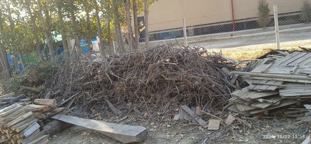 Утин сотилади мевали дарахтлар