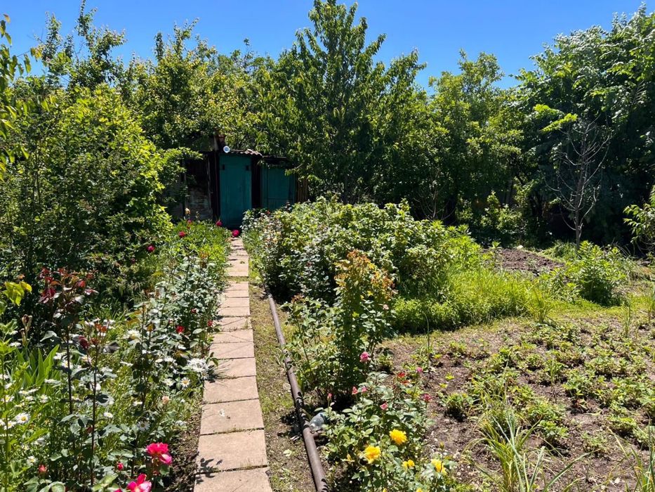 Талгарские дачи общество ветеран