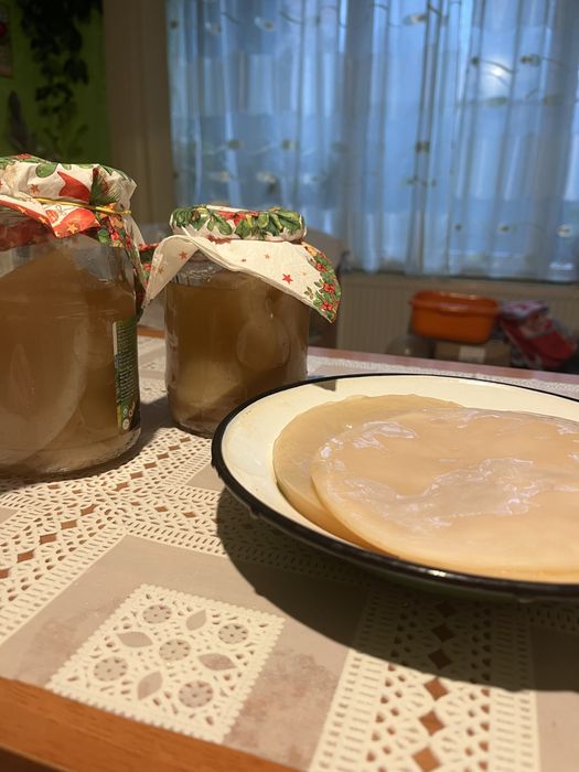 Pui ciuperca Kombucha