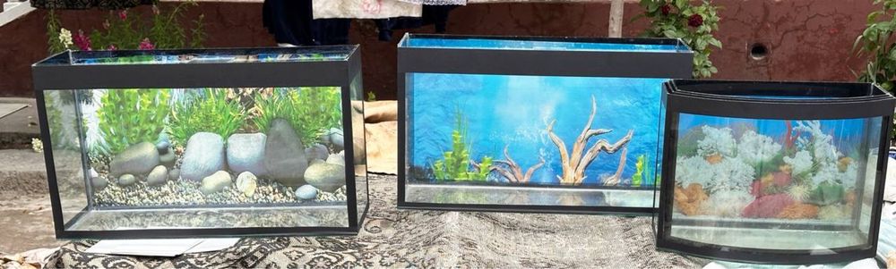Аквариумлар ва стеллаж