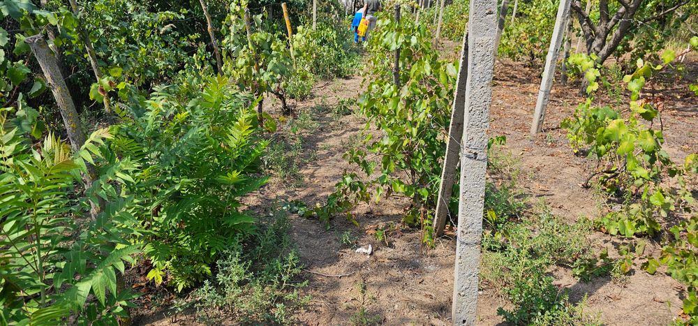 Продава се Парцел в Русе, в.з. Левента - 447 кв.м за 10 €/кв.м - Снимка #9